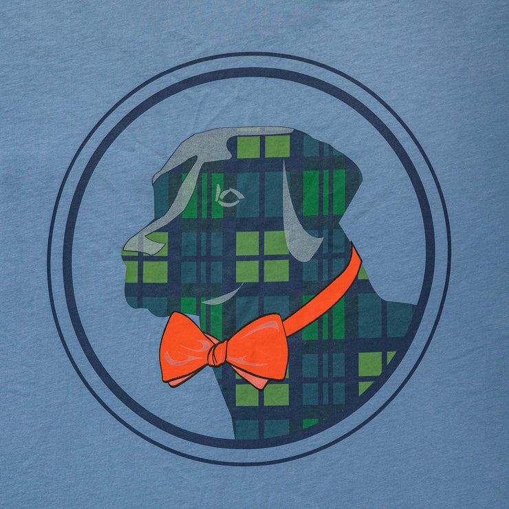 A stylish dog wearing a Plaid Lab Tee: Allure bow tie.